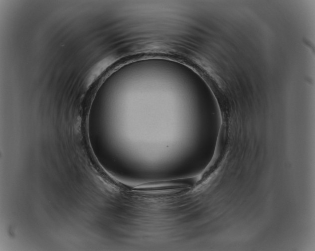 X0000097751066200803071243