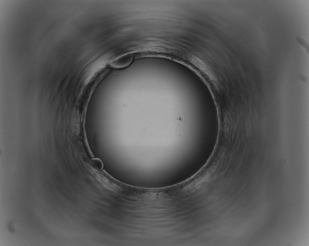 X0000097751067200803071243