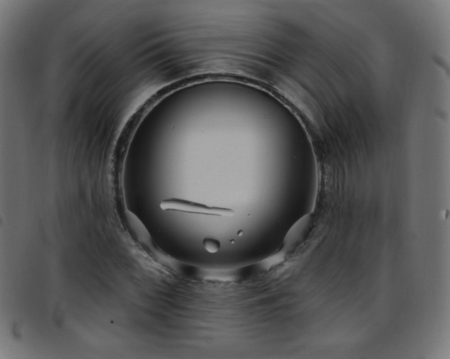 X0000097751068200803071243