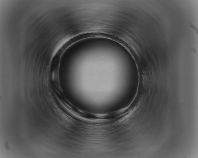 X0000097751069200803071243