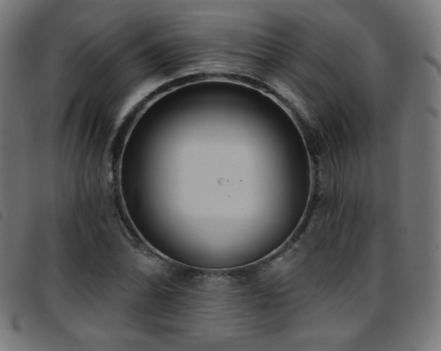 X0000097751070200803071243