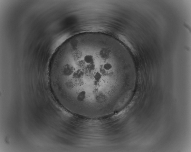 X0000097751071200803071243