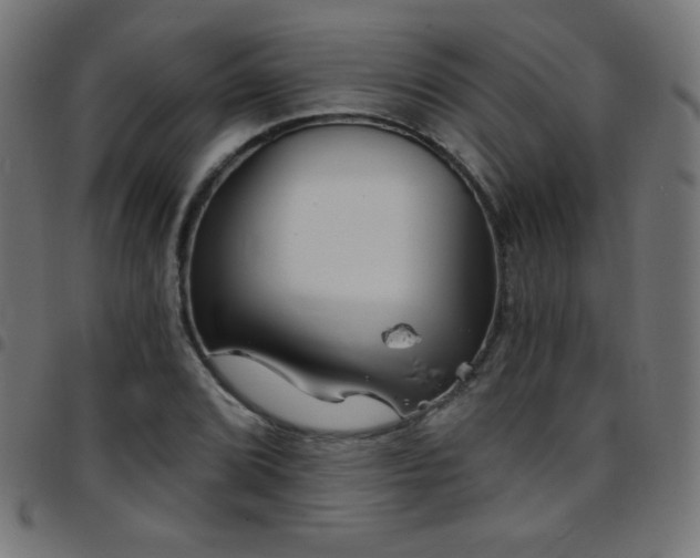 X0000097751072200803071243