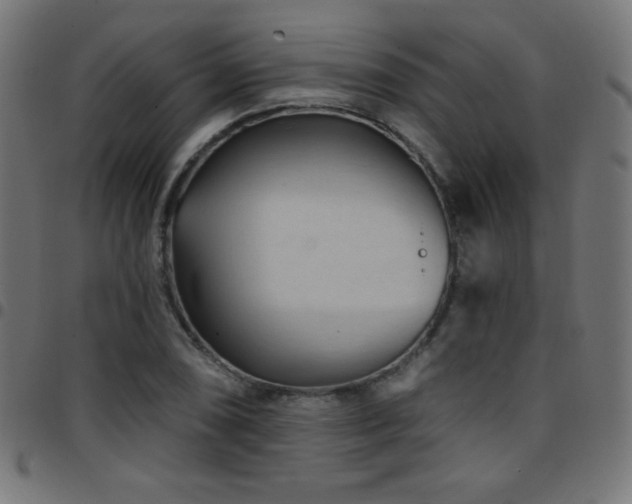 X0000097751074200803071243