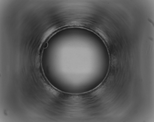X0000097751075200803071243