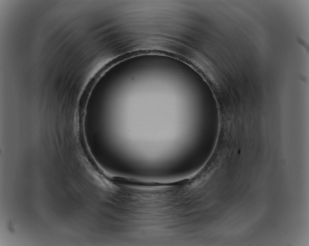 X0000097751076200803071243