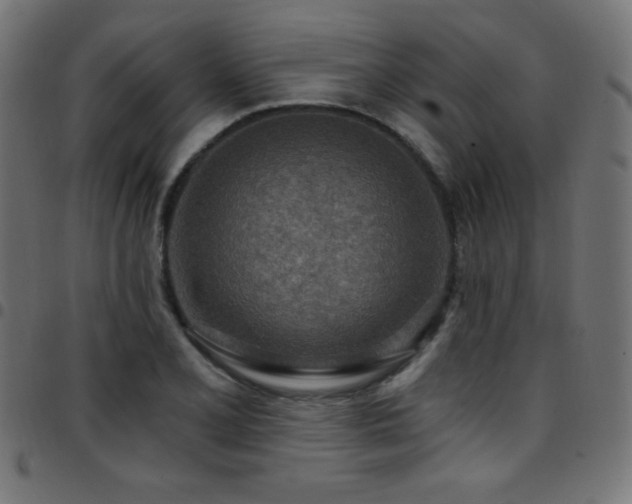 X0000097751077200803071243
