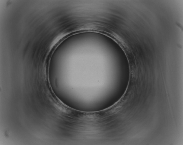 X0000097751078200803071243