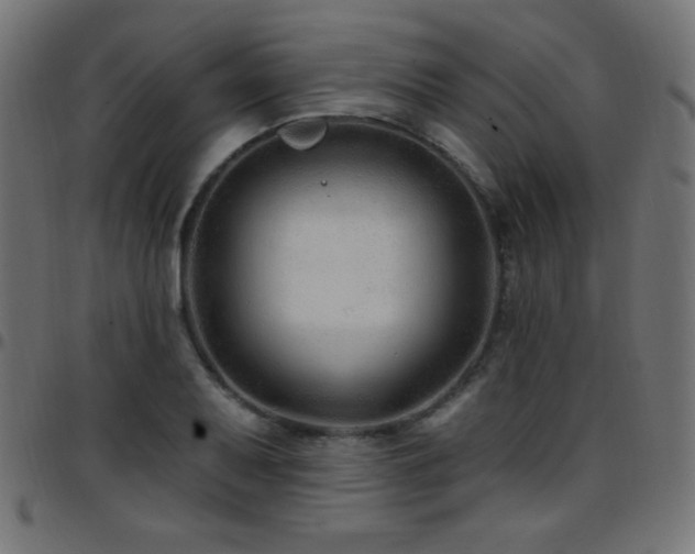 X0000097751079200803071243