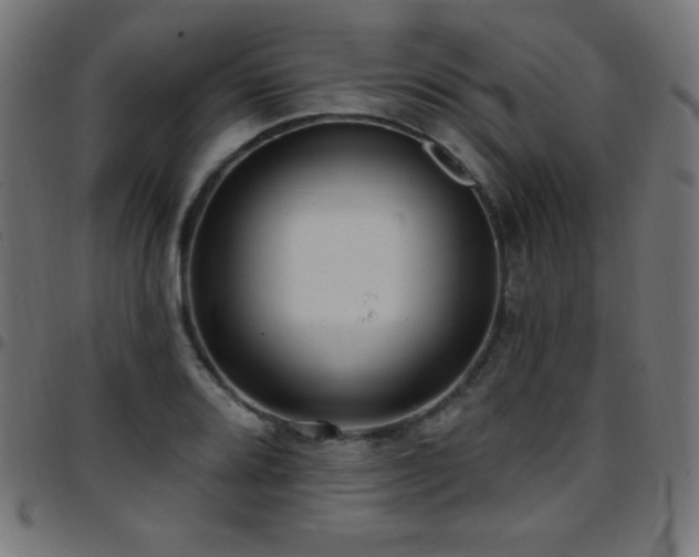 X0000097751080200803071243