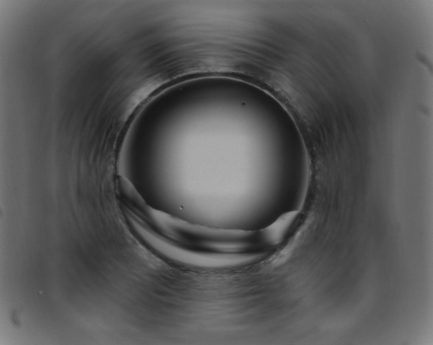 X0000097751081200803071243