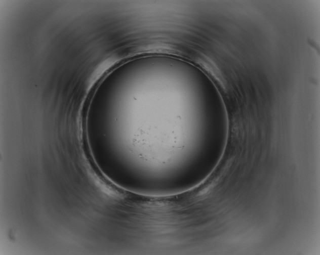 X0000097751082200803071243