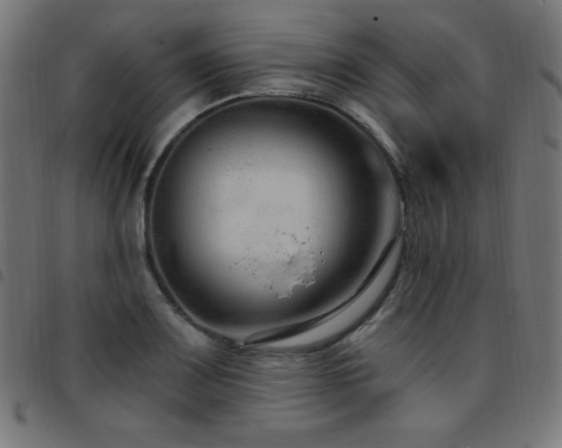 X0000097751083200803071243