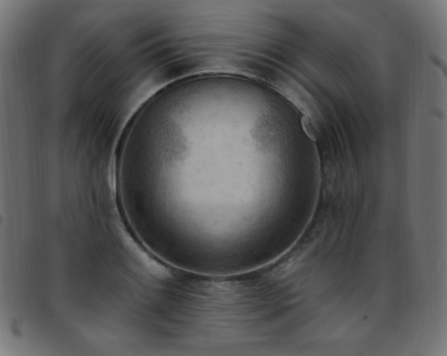 X0000097751084200803071243