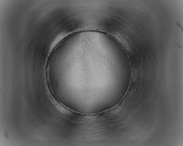 X0000097751086200803071243