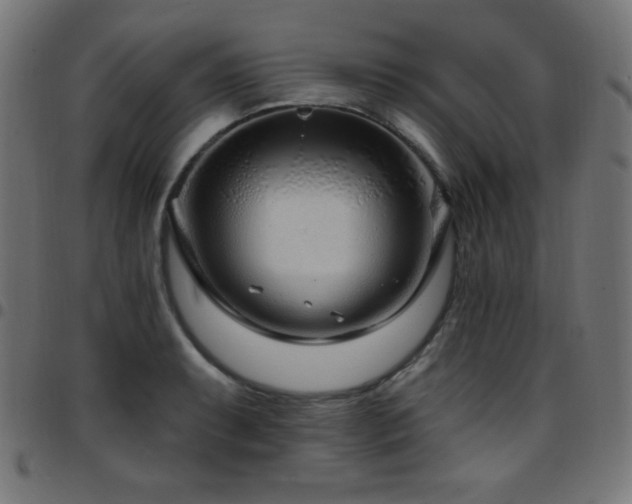 X0000097751087200803071243