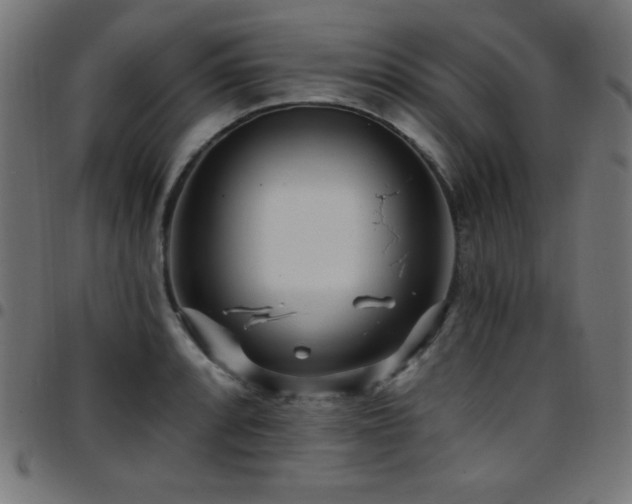 X0000097751088200803071243