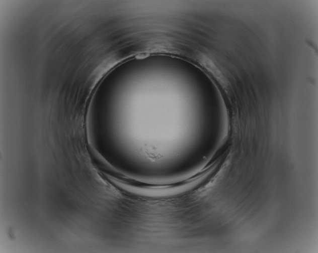 X0000097751089200803071243