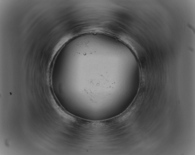 X0000097751090200803071243
