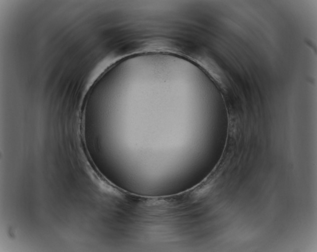 X0000097751094200803071243