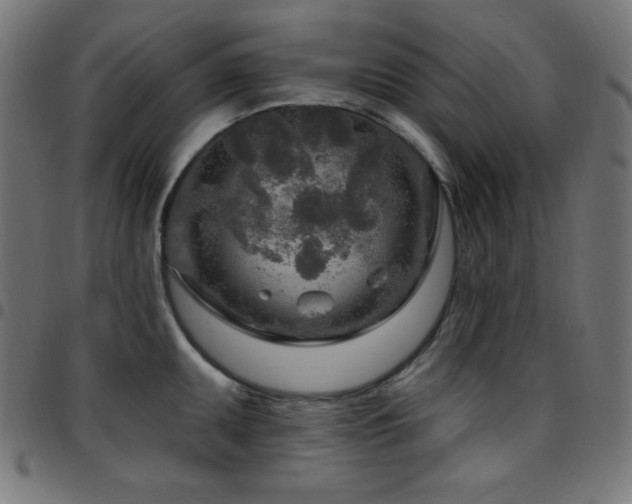 X0000097751095200803071243