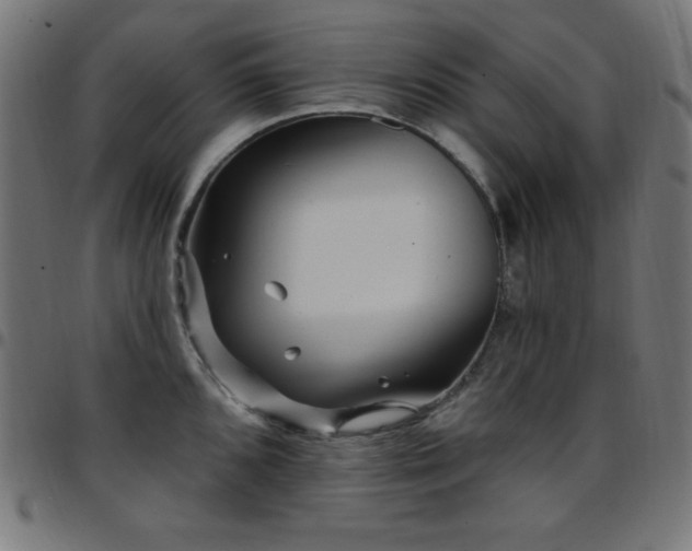 X0000097751096200803071243