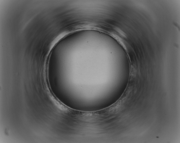 X0000097751098200803071243