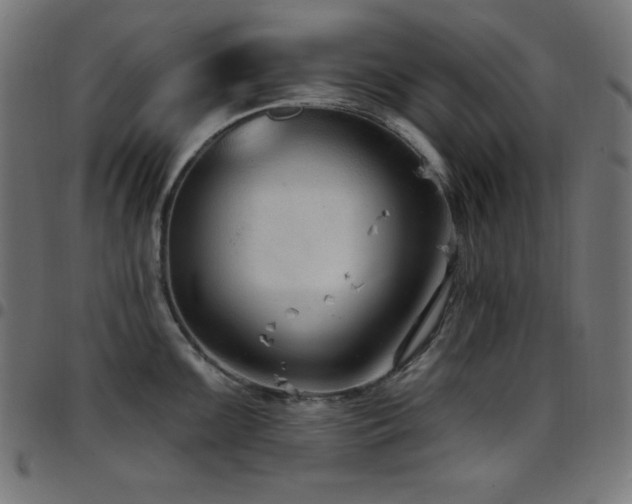 X0000097751099200803071243