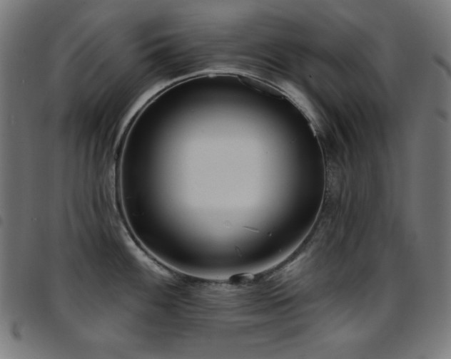 X0000097751100200803071243