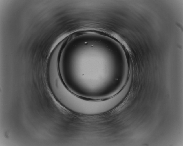 X0000097751101200803071243