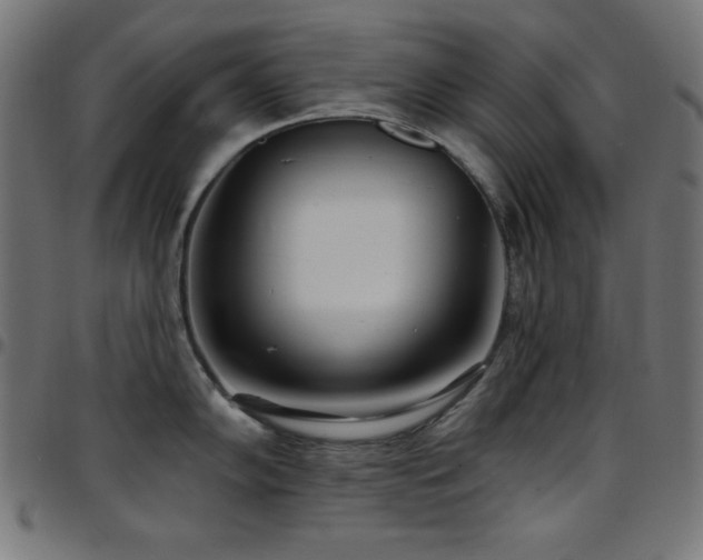 X0000097751102200803071242