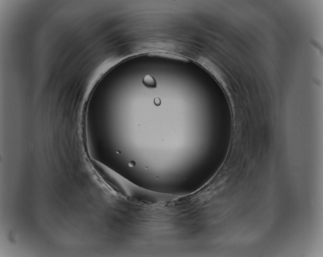 X0000097751104200803071242