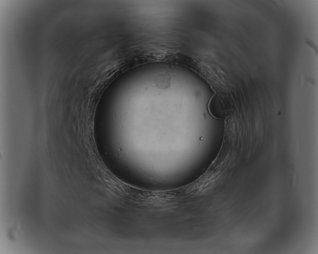 X0000097751105200803071242