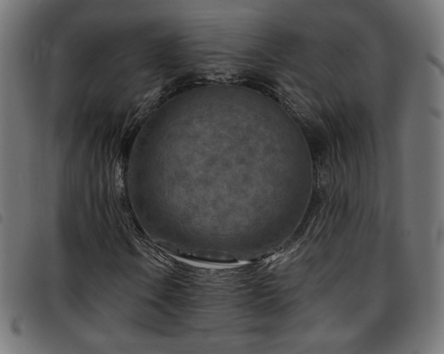 X0000097751106200803071242