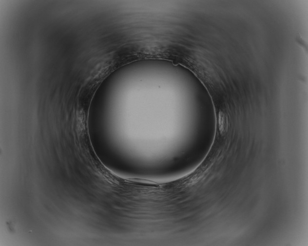 X0000097751107200803071242