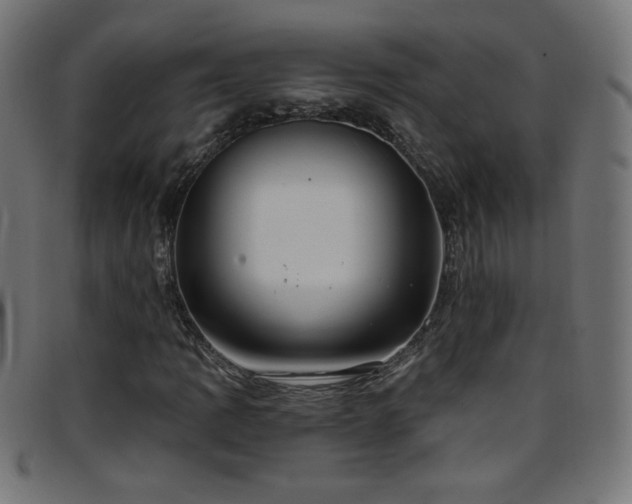 X0000097751109200803071242