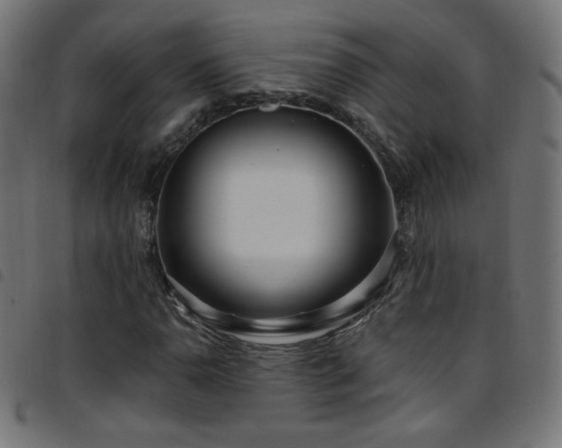 X0000097751110200803071242