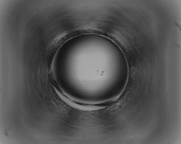 X0000097751111200803071242