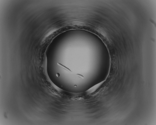 X0000097751112200803071242