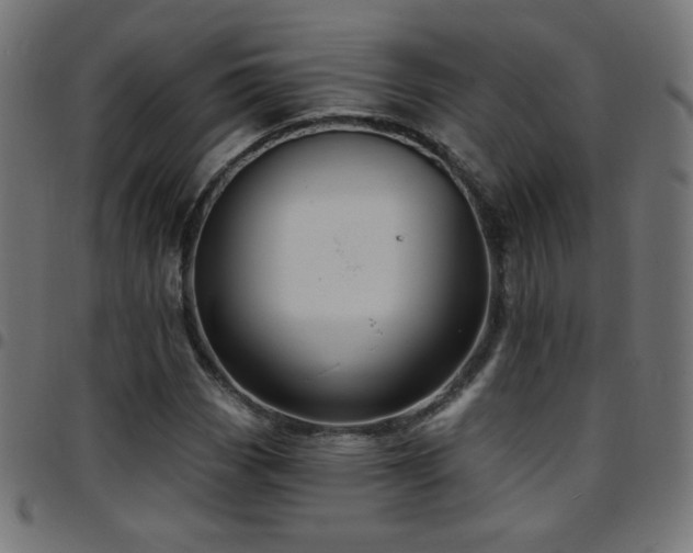 X0000097751113200803071242