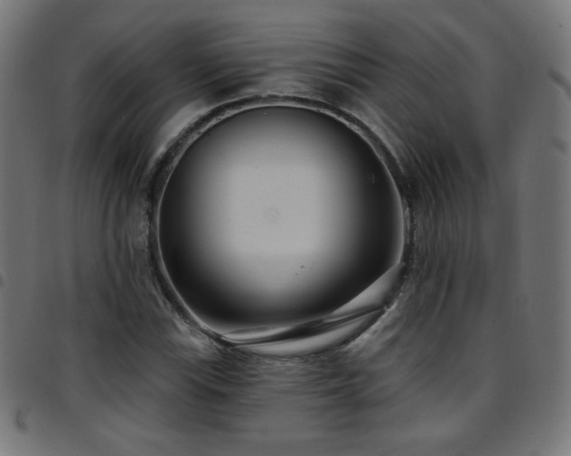 X0000097751115200803071242