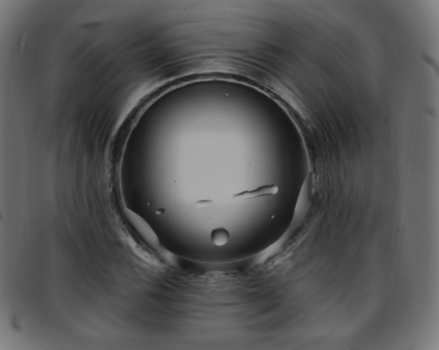 X0000097751116200803071242
