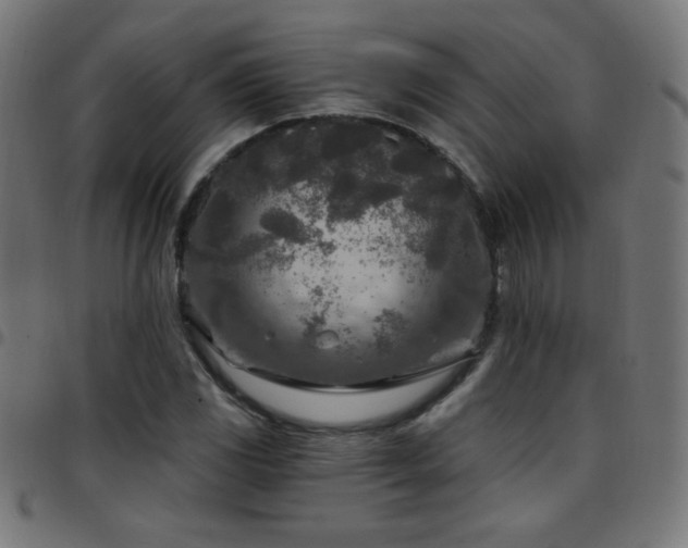 X0000097751117200803071242