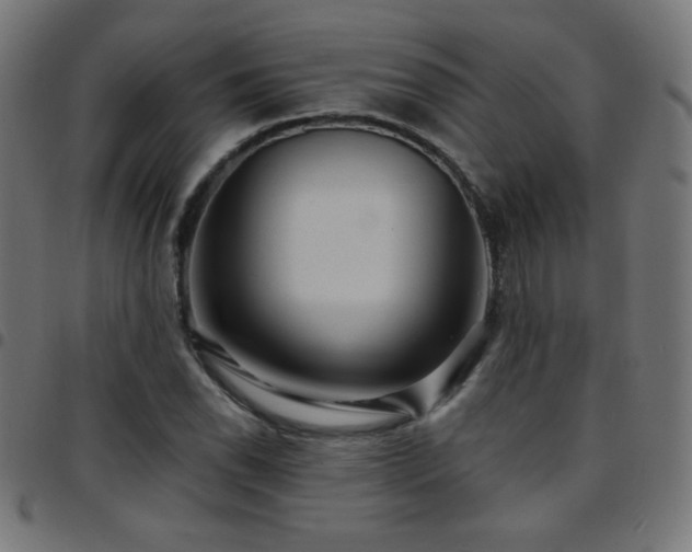 X0000097751118200803071242
