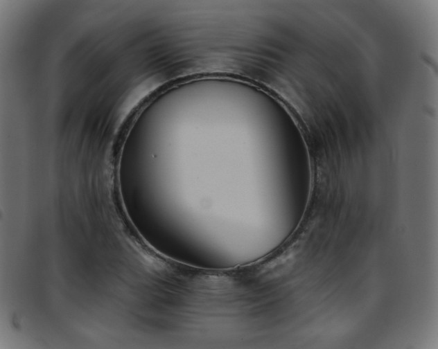 X0000097751119200803071242