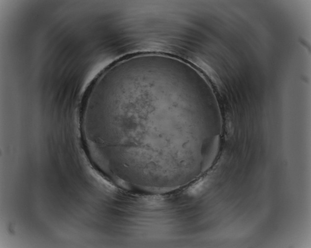 X0000097751120200803071242