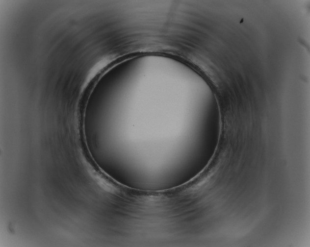 X0000097751122200803071242