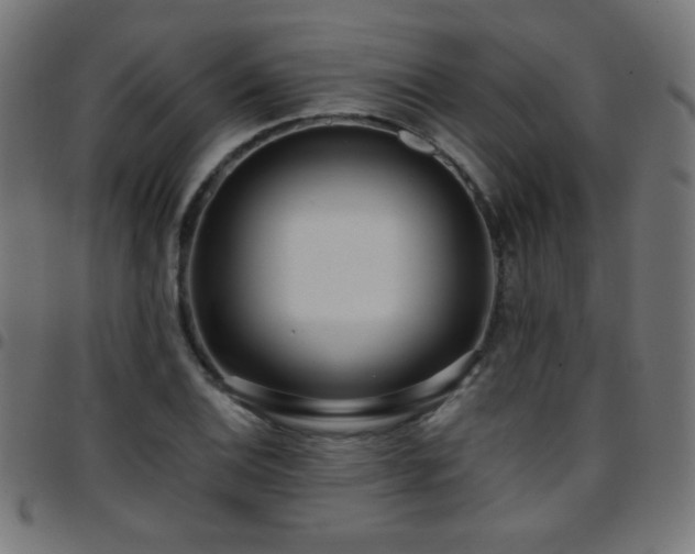 X0000097751124200803071242