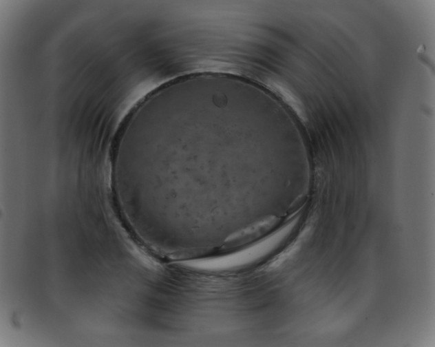 X0000097751125200803071242