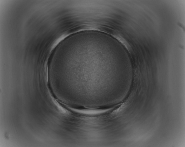 X0000097751127200803071242